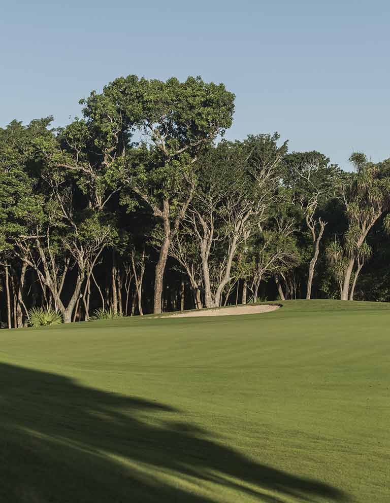 Imágenes del hoyo 5 para el campo de 18 hoyos de Golf Riviera Maya