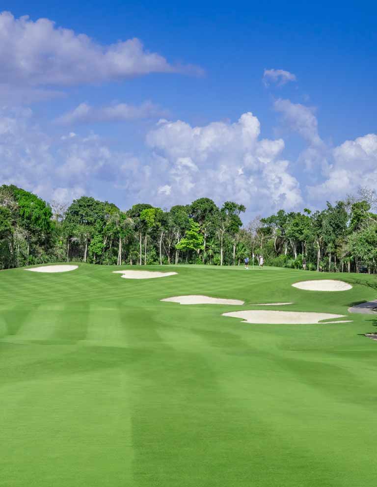 Imágenes del hoyo 8 para el campo de 18 hoyos de Golf Riviera Maya