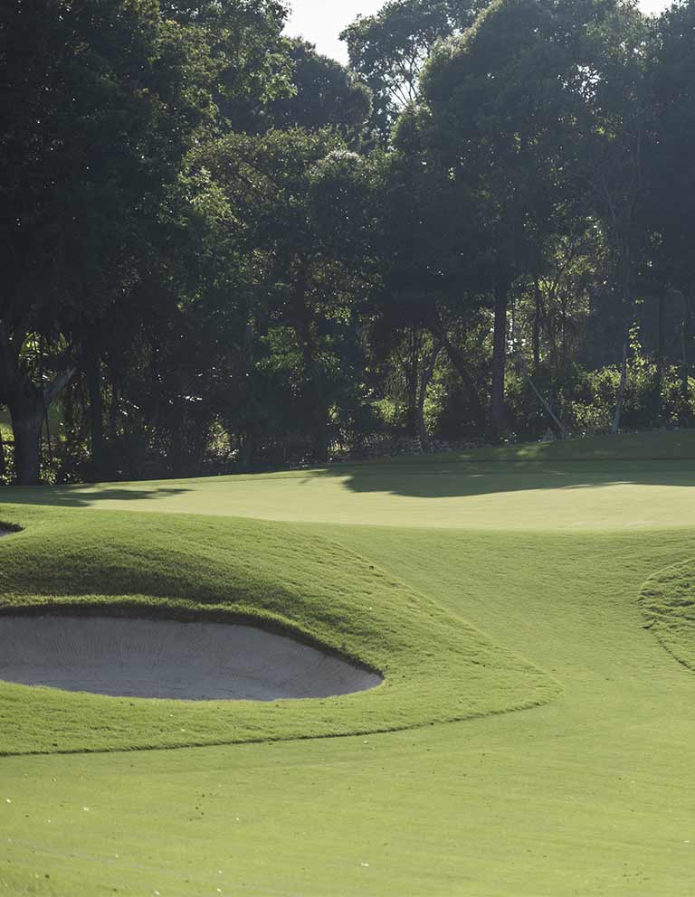 Imágenes del hoyo 2 para el campo de 9 hoyos de Golf Riviera Maya